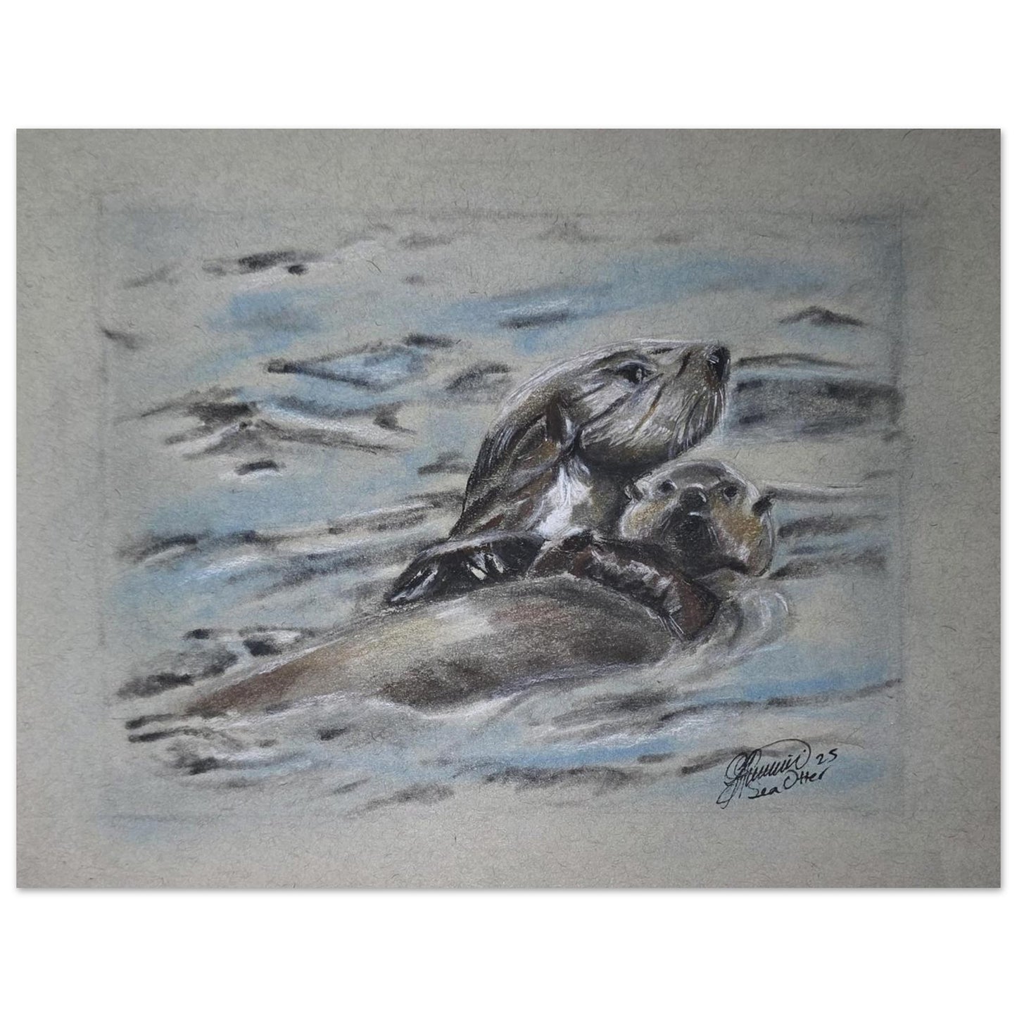sea-otter-charcoal-sketch-canada-wildlife