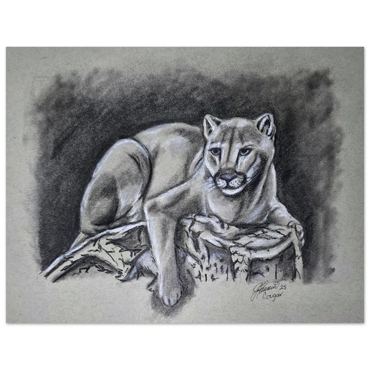 canadian-cougar-charcoal-drawing-wildlife-art