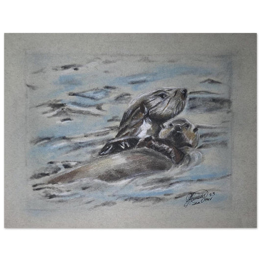 sea-otter-charcoal-sketch-canada-wildlife