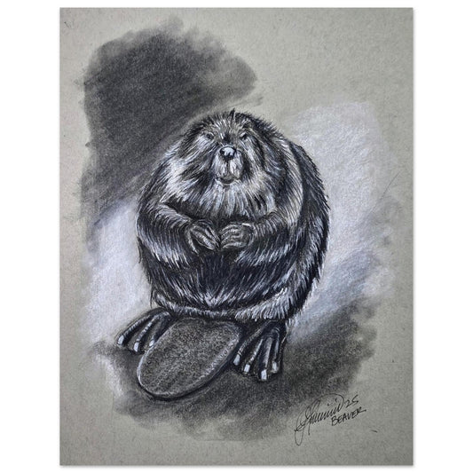 canadian-beaver-charcoal-drawing-wildlife-art