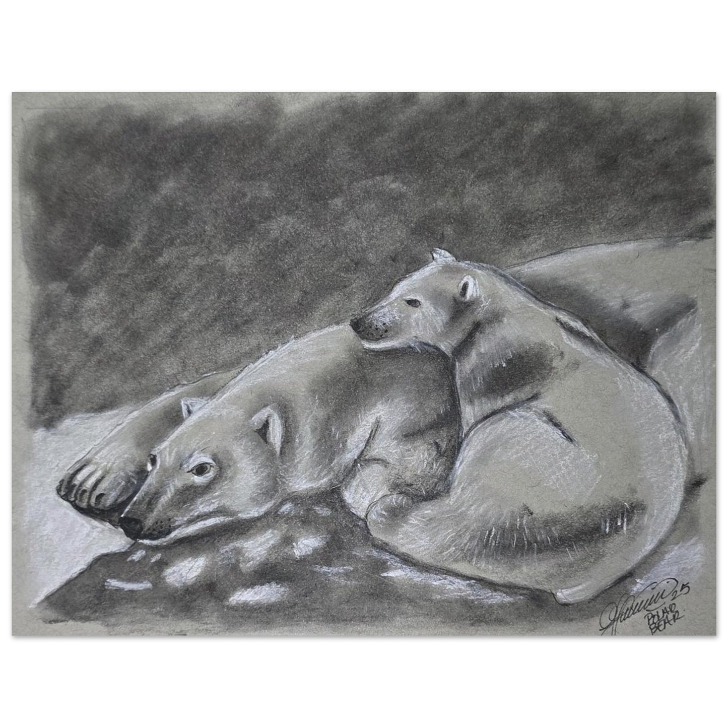 polar-bear-family-charcoal-sketch-canada-wildlife