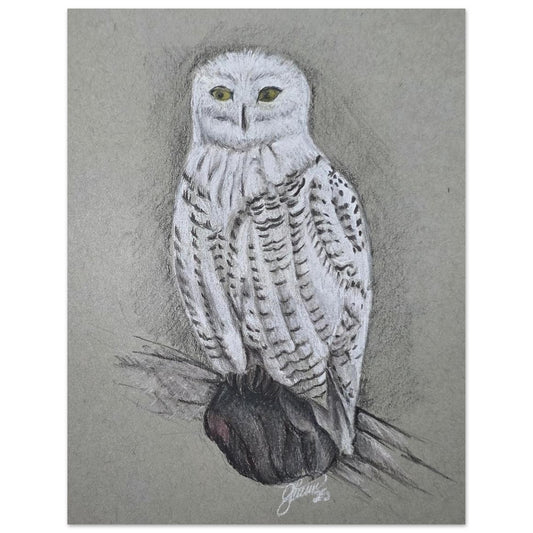 snow-owl-charcoal-sketch-canada-arctic-bird